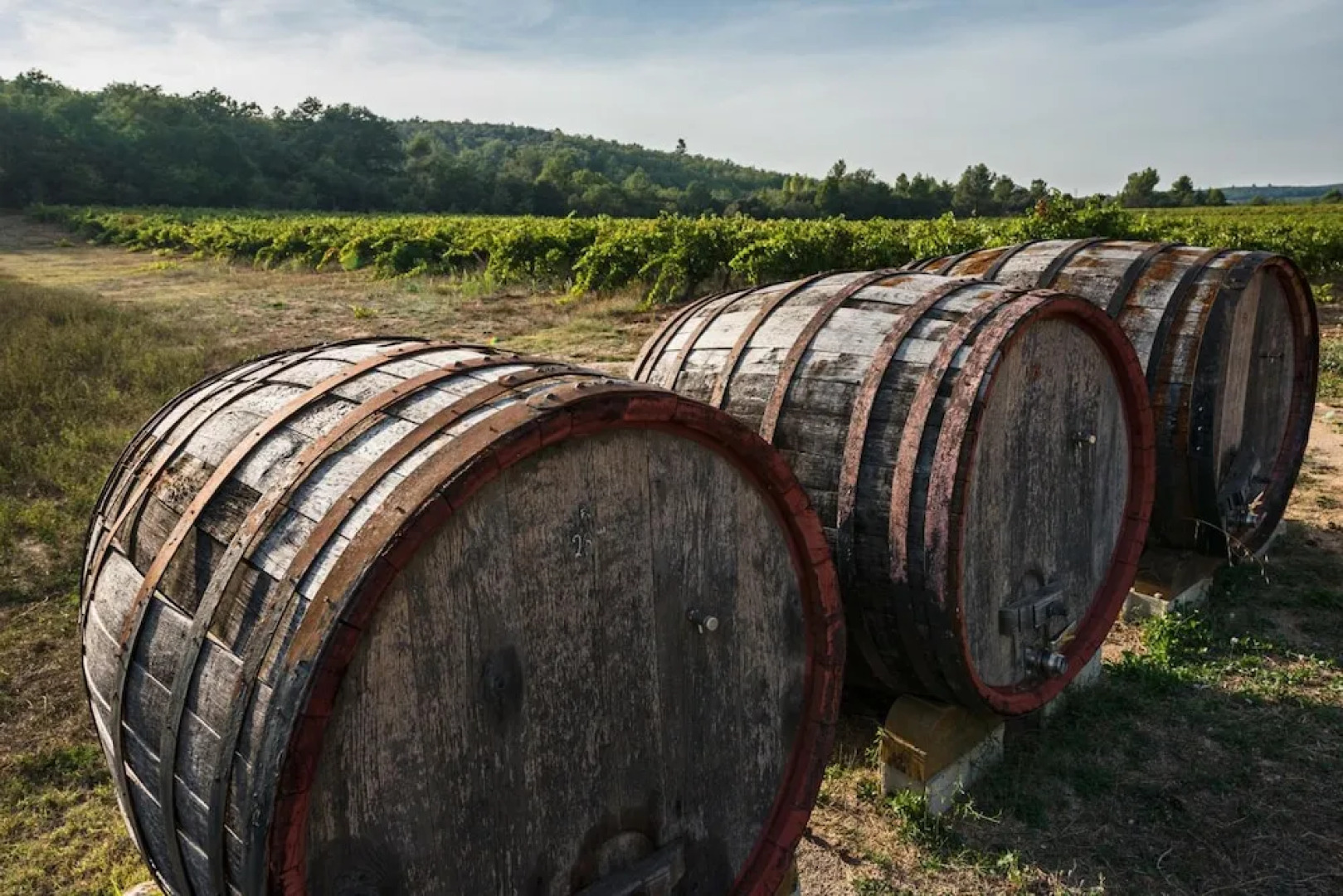 Les Terres de Saint Hilaire
