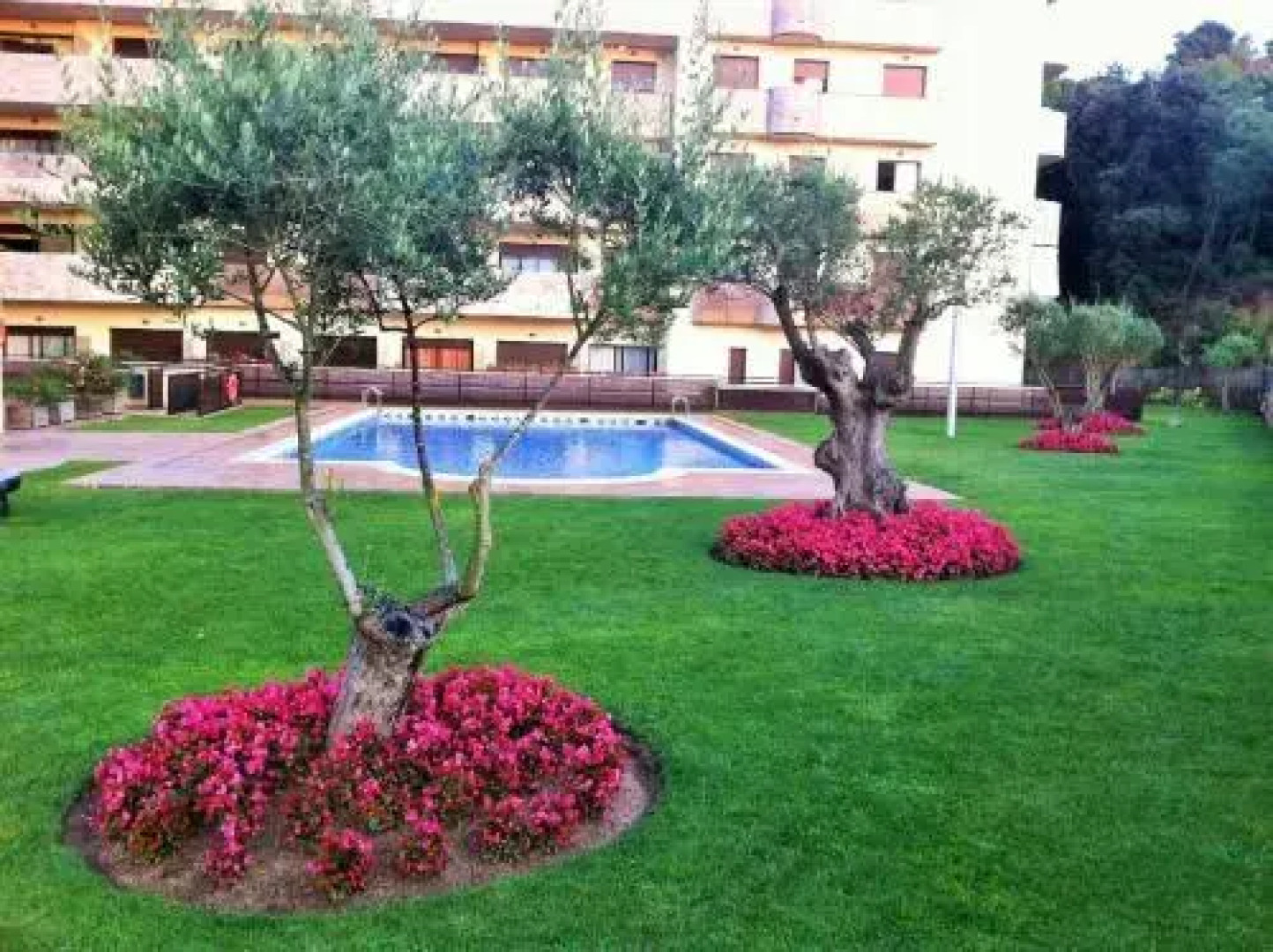 Arion Garden Apartment