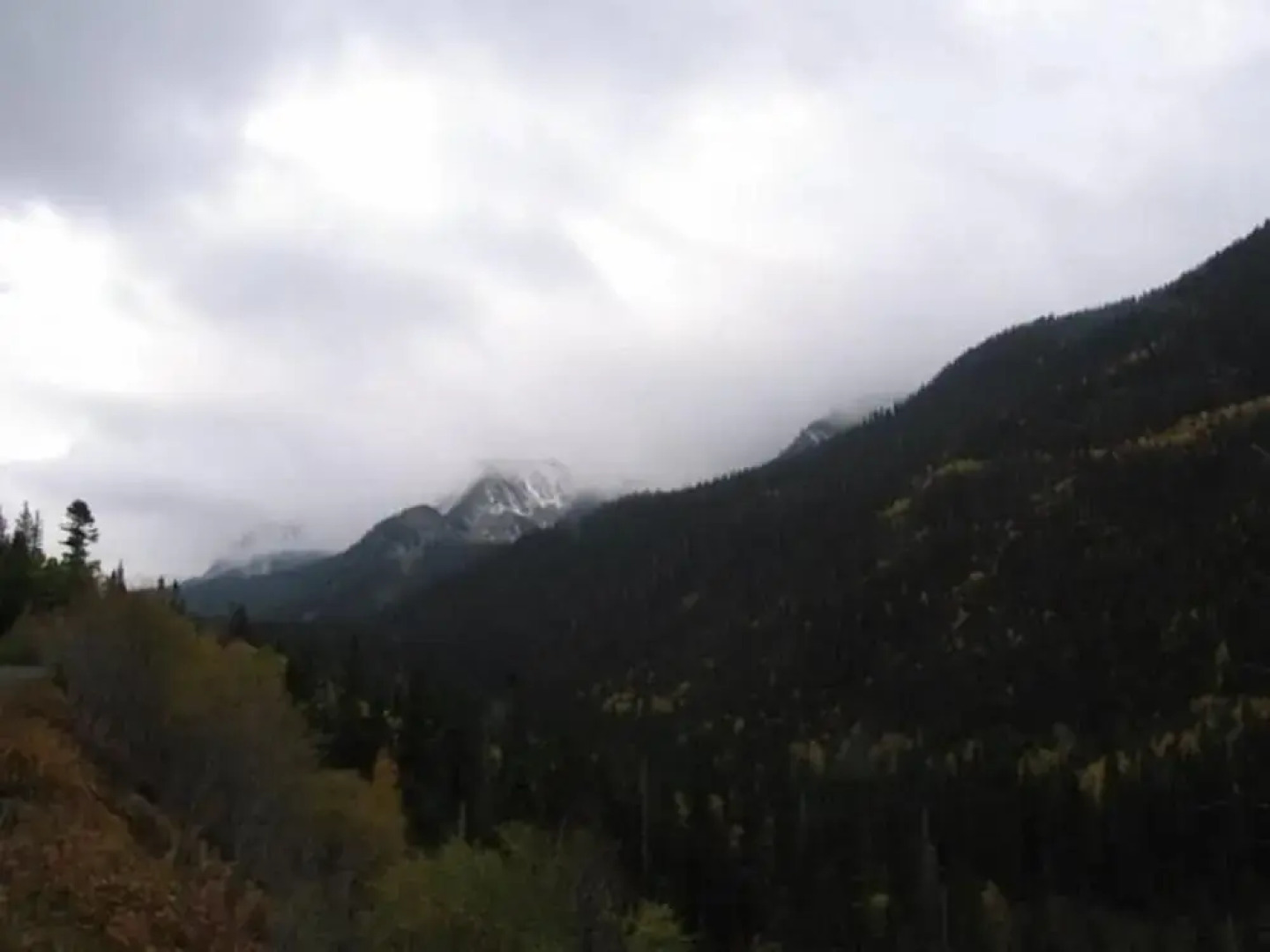 Amizette Inn and Restaurant