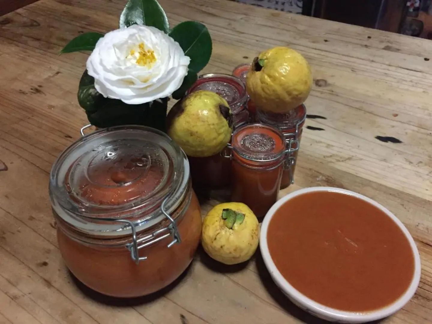 Quinta Minuvida Orchard Lodge