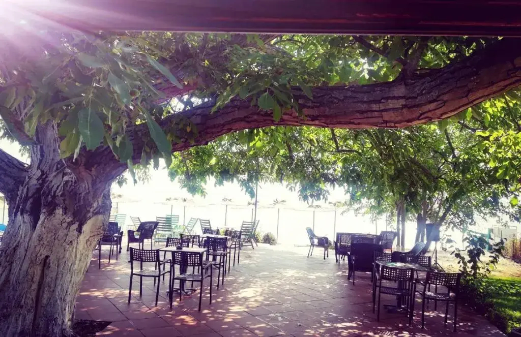 Apartmani Alex Beach