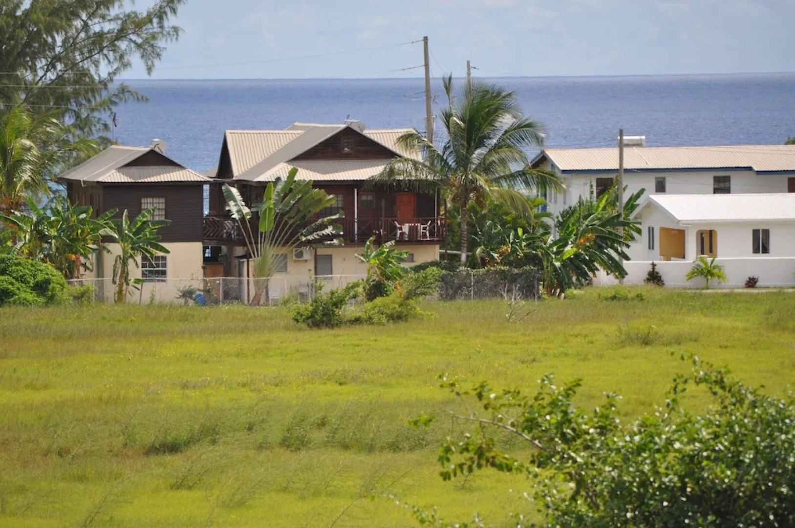 White Coconut Studio