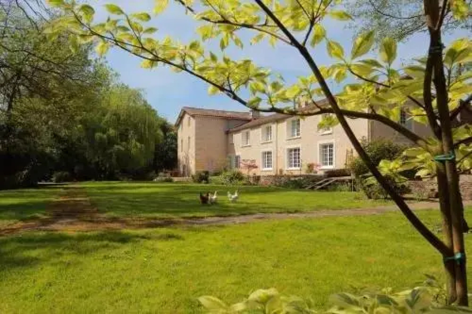 Tournesol Chambres dhôtes