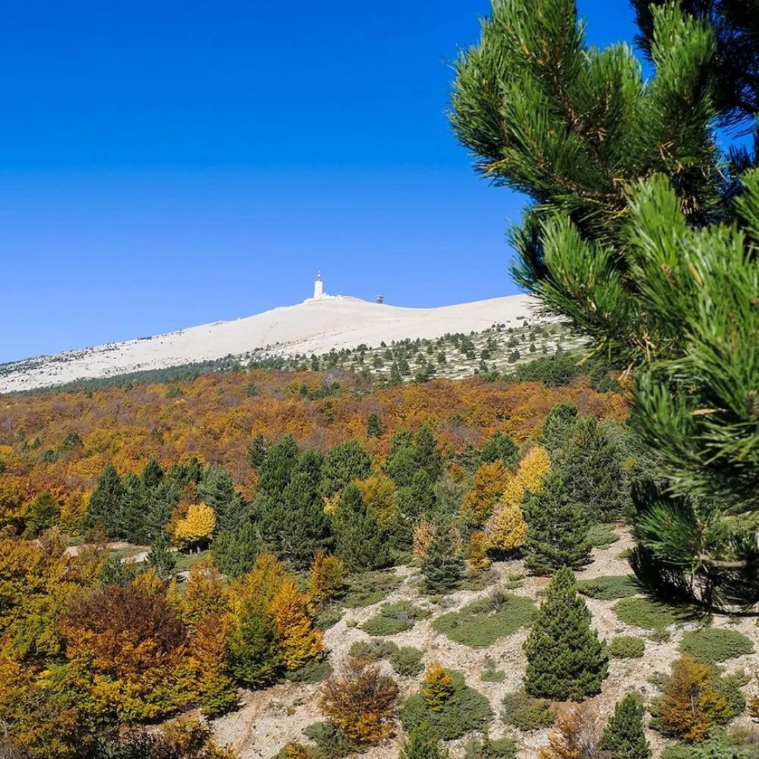 Vacancéole - AUBIGNAN Les Demeures du Ventoux