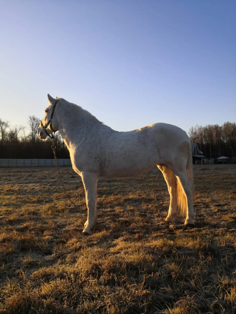 Усадьба Красивая