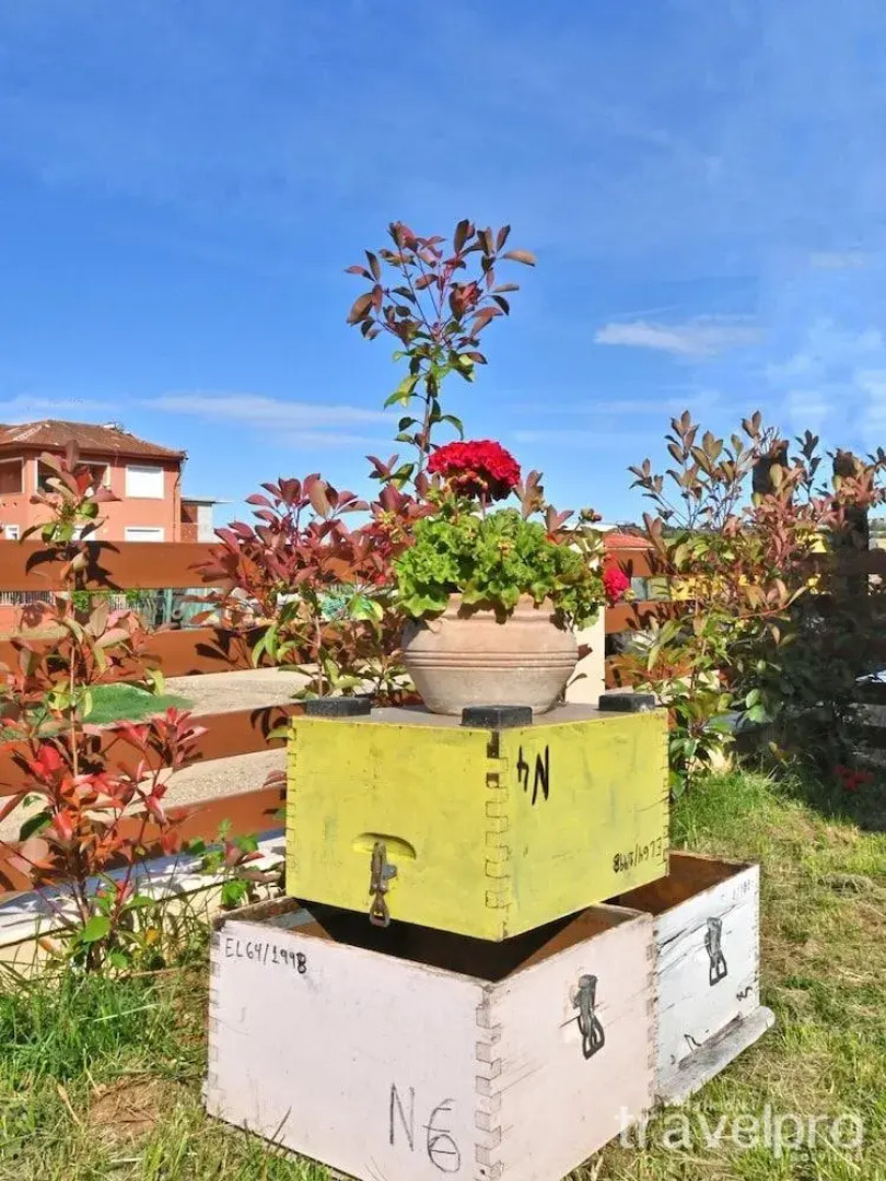 Meloida Apartment by TravelPro Services- Nea ...