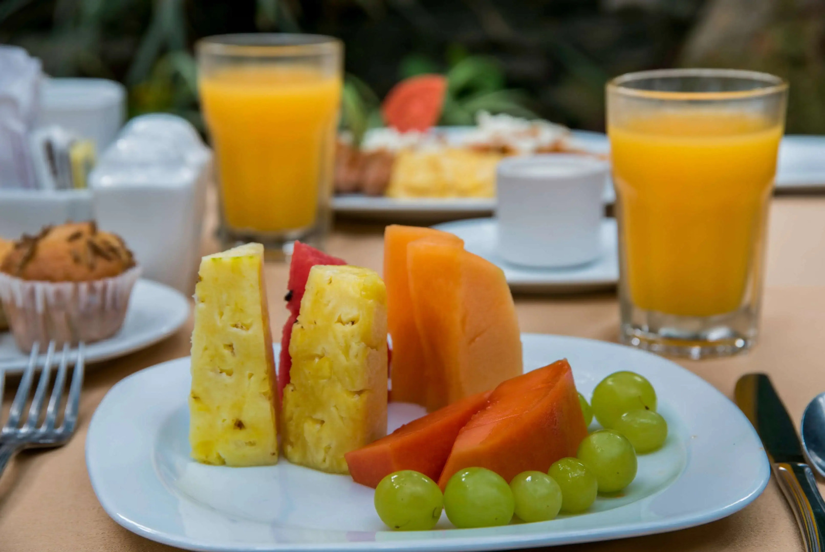 Wyndham Garden Guadalajara Expo