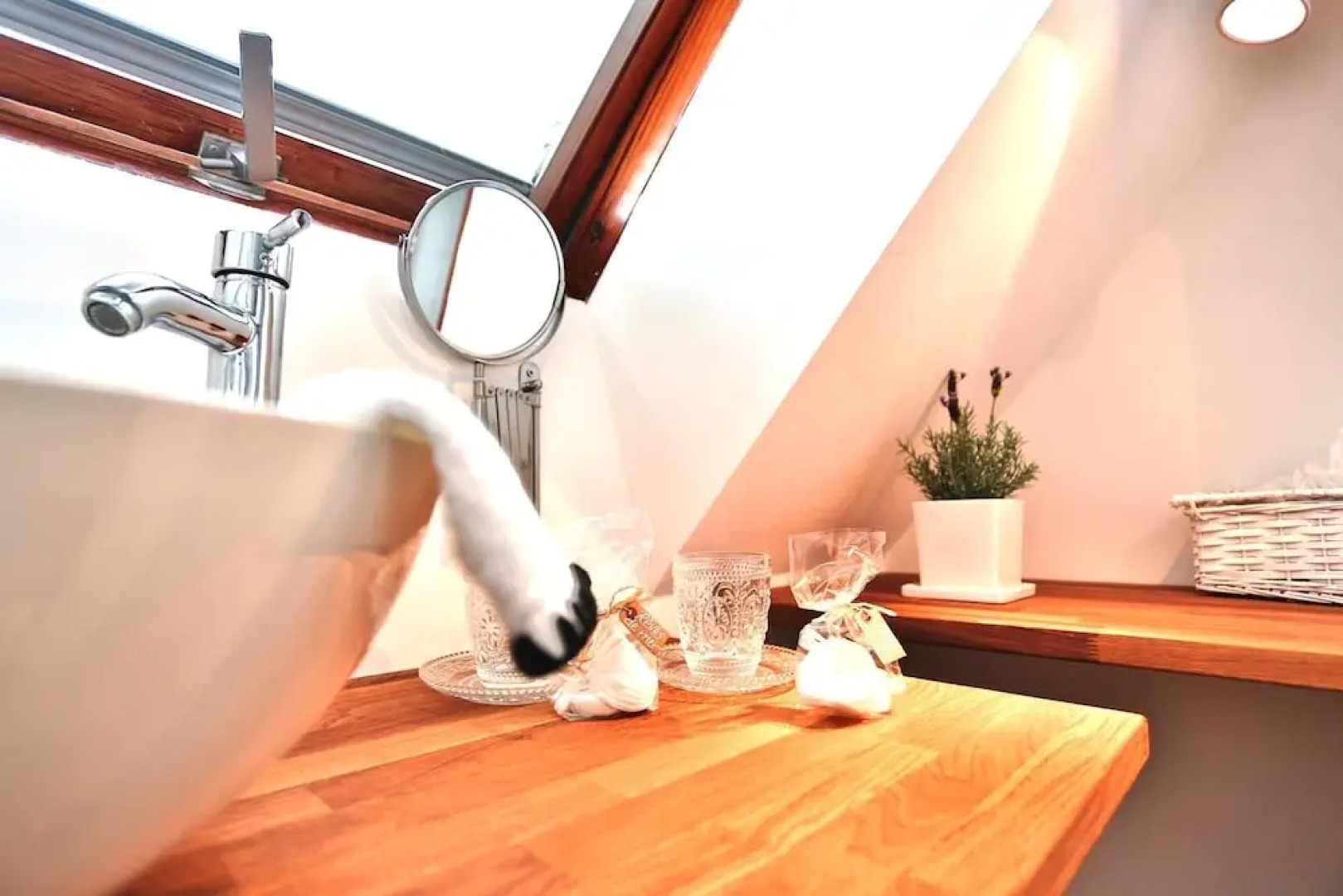 Rêves de Bord de Mer