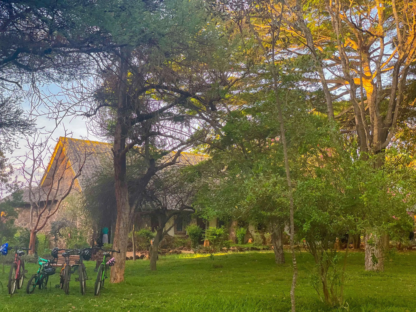 Kilaguni Serena Safari Lodge