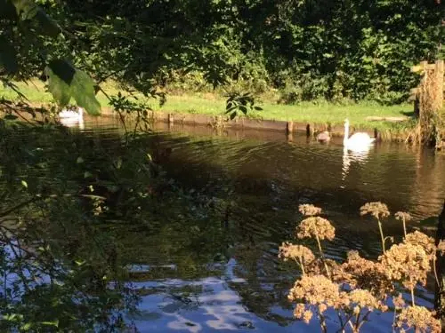 La Chouette Qui Chante