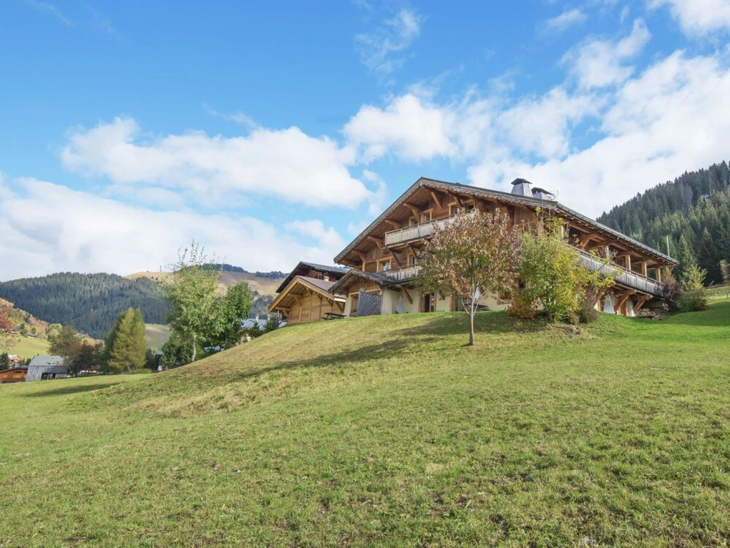 Pretty Apartment in a Separate Mountain Chalet