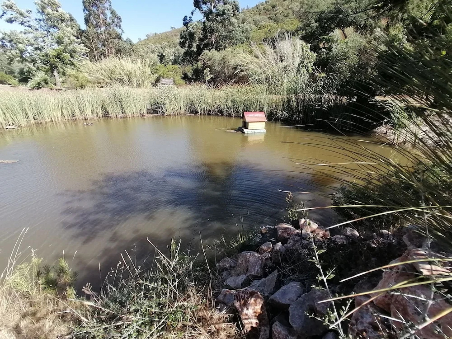 Glamping Tinyhome Pond Cabin @talurdo Retreat