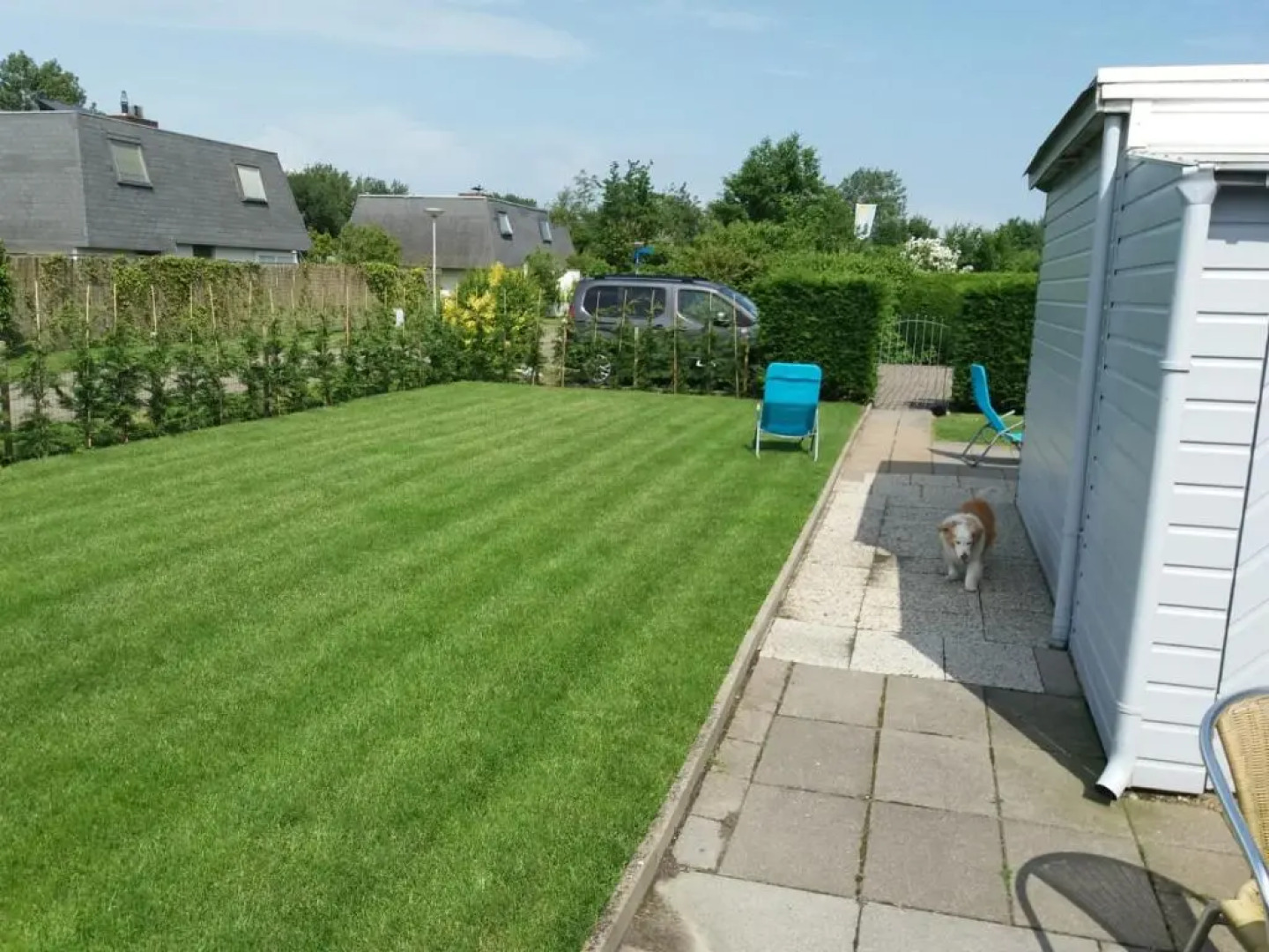 Park Schoneveld, Zeester 25