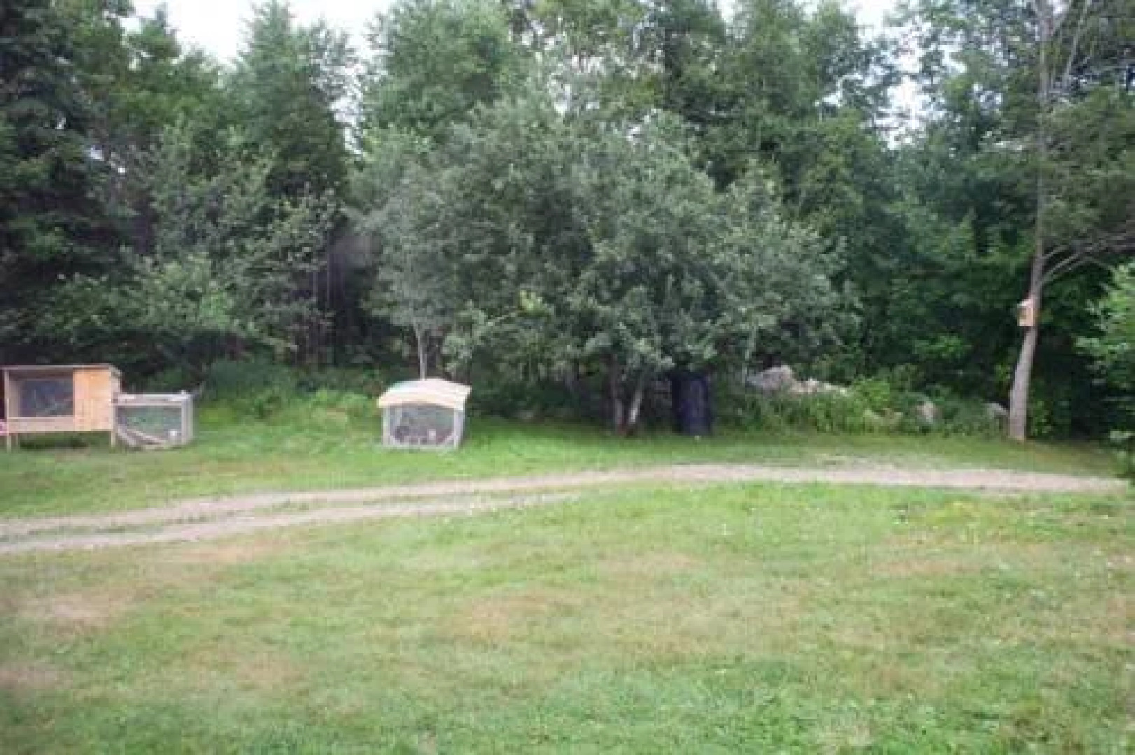 Maven Gypsy B&B +Cottages