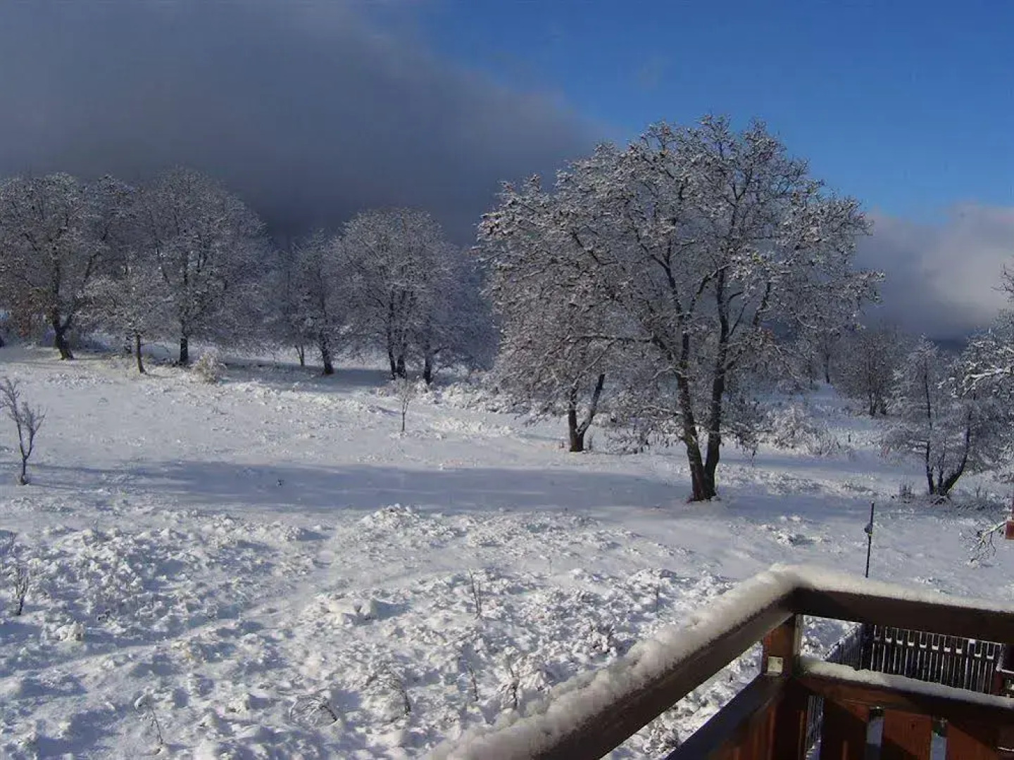 Four Leaf Clover Apartments to Rent