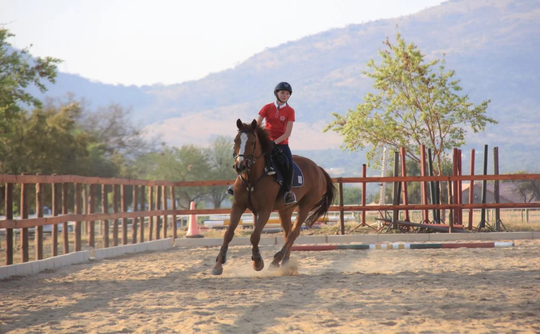 Ibis Way Guest House