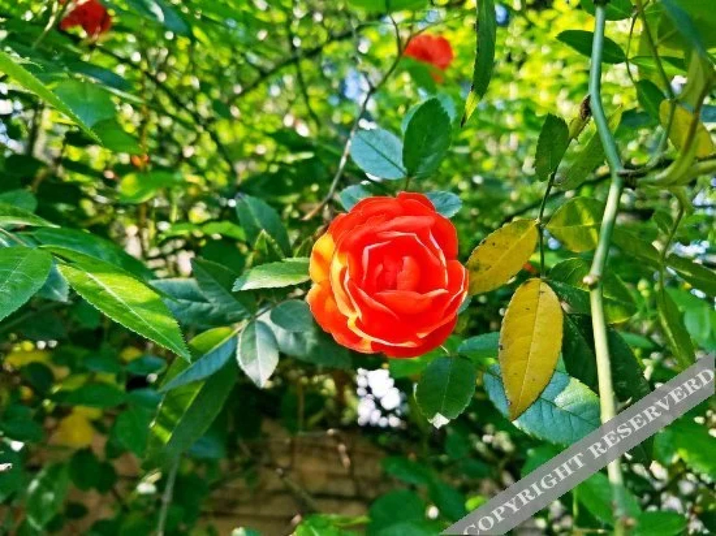 Shengli Liyuan Hotel