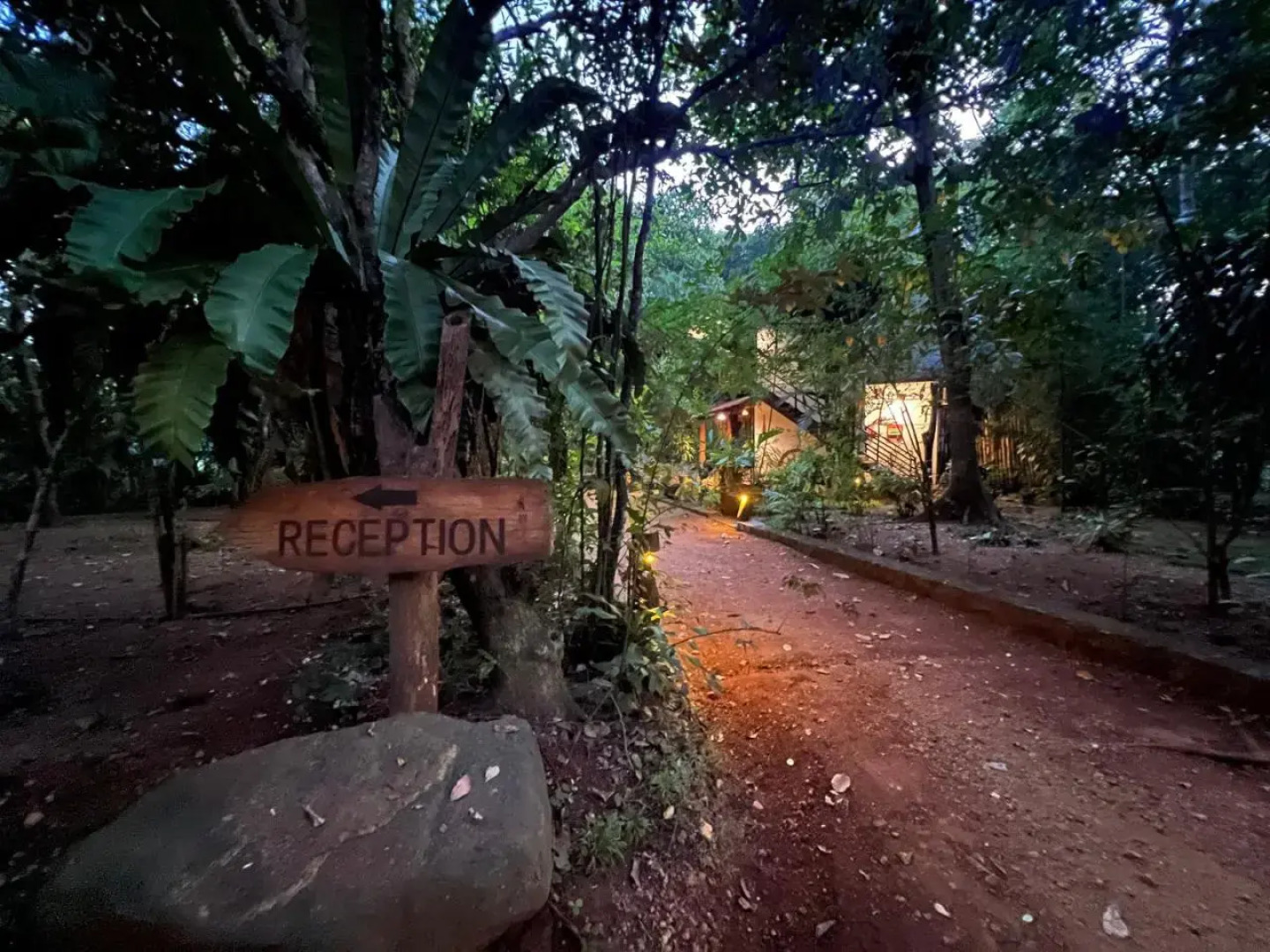 Walawa Blue Sapphire