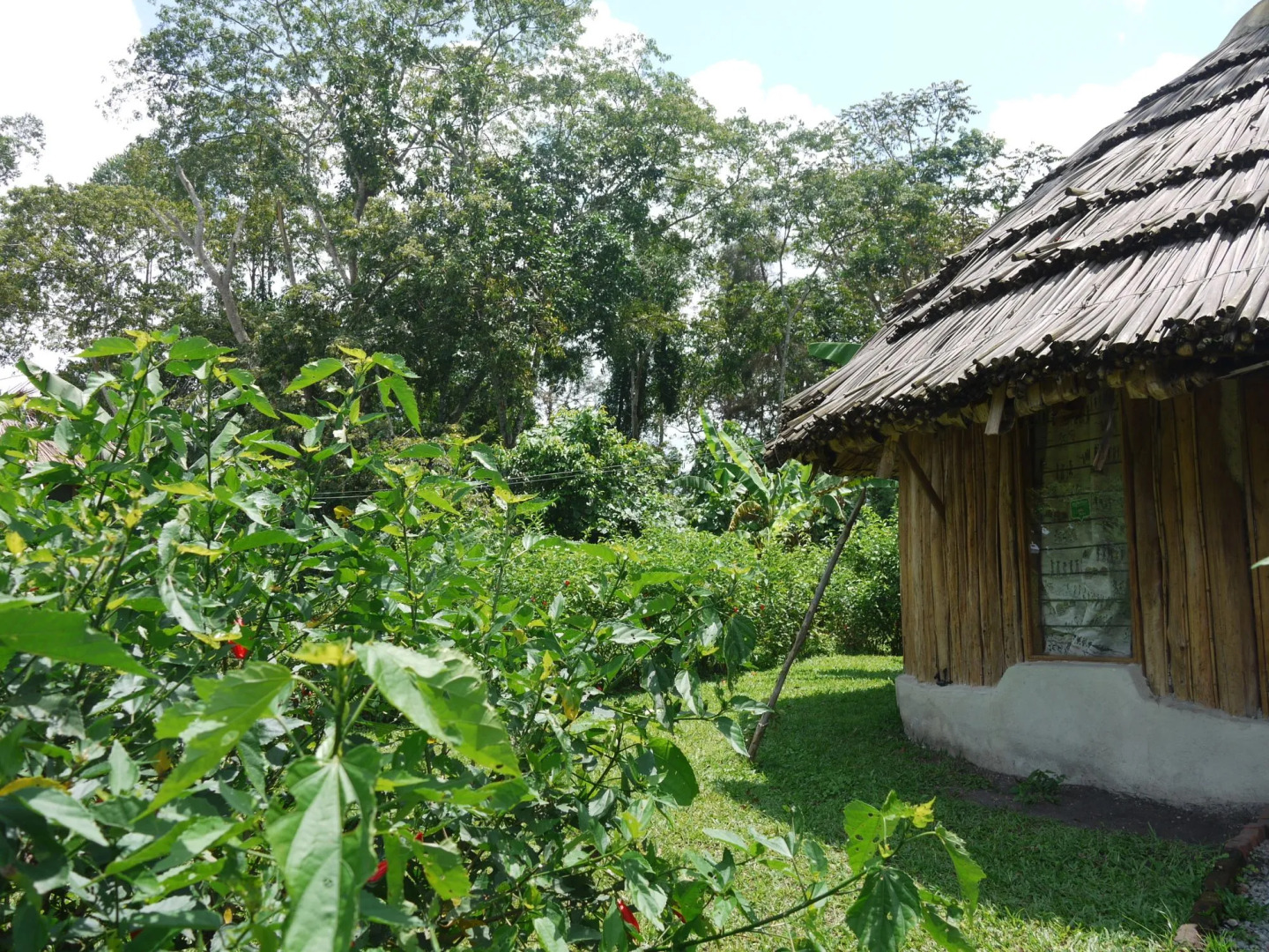 Rweteera Safari Park