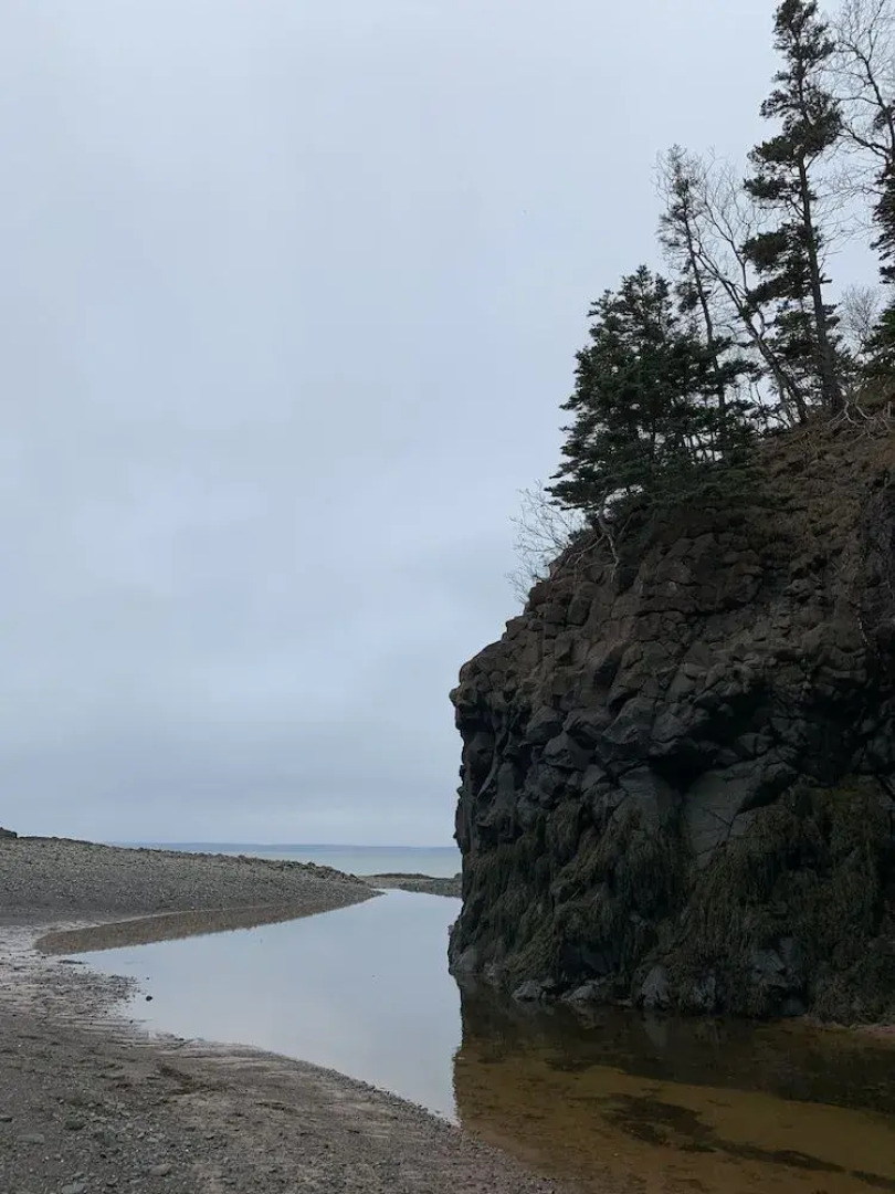 Delft Haus Bed & Breakfast