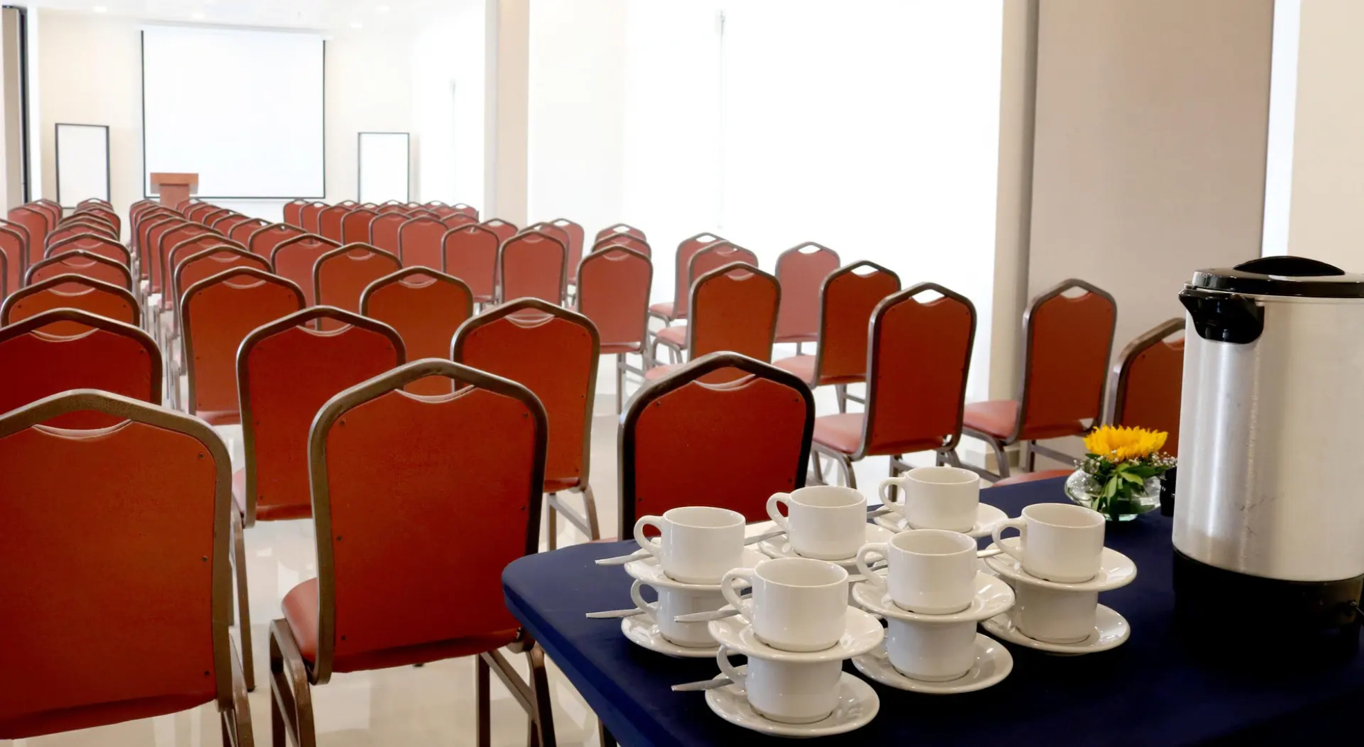 Hotel Misión Express San Juan Del Río