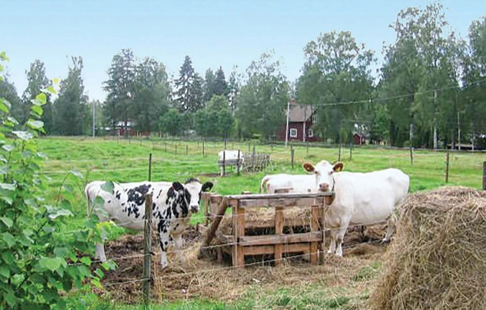 Awesome Home in Hagfors With