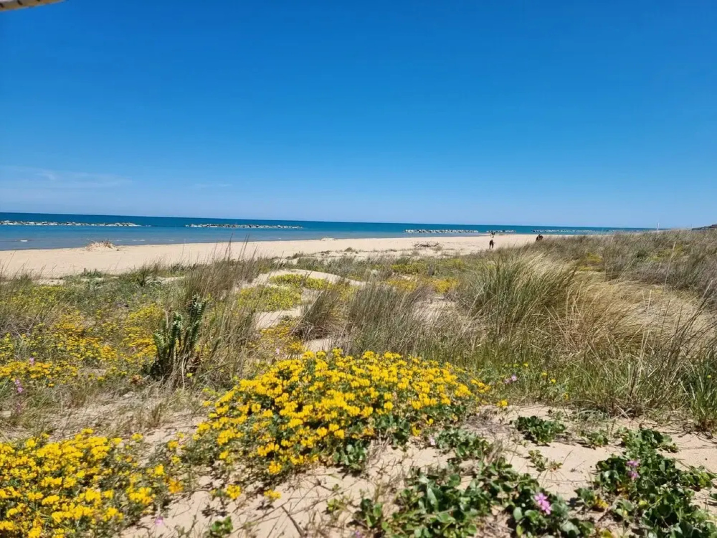 Agriturimo Essentia Dimora Rurale