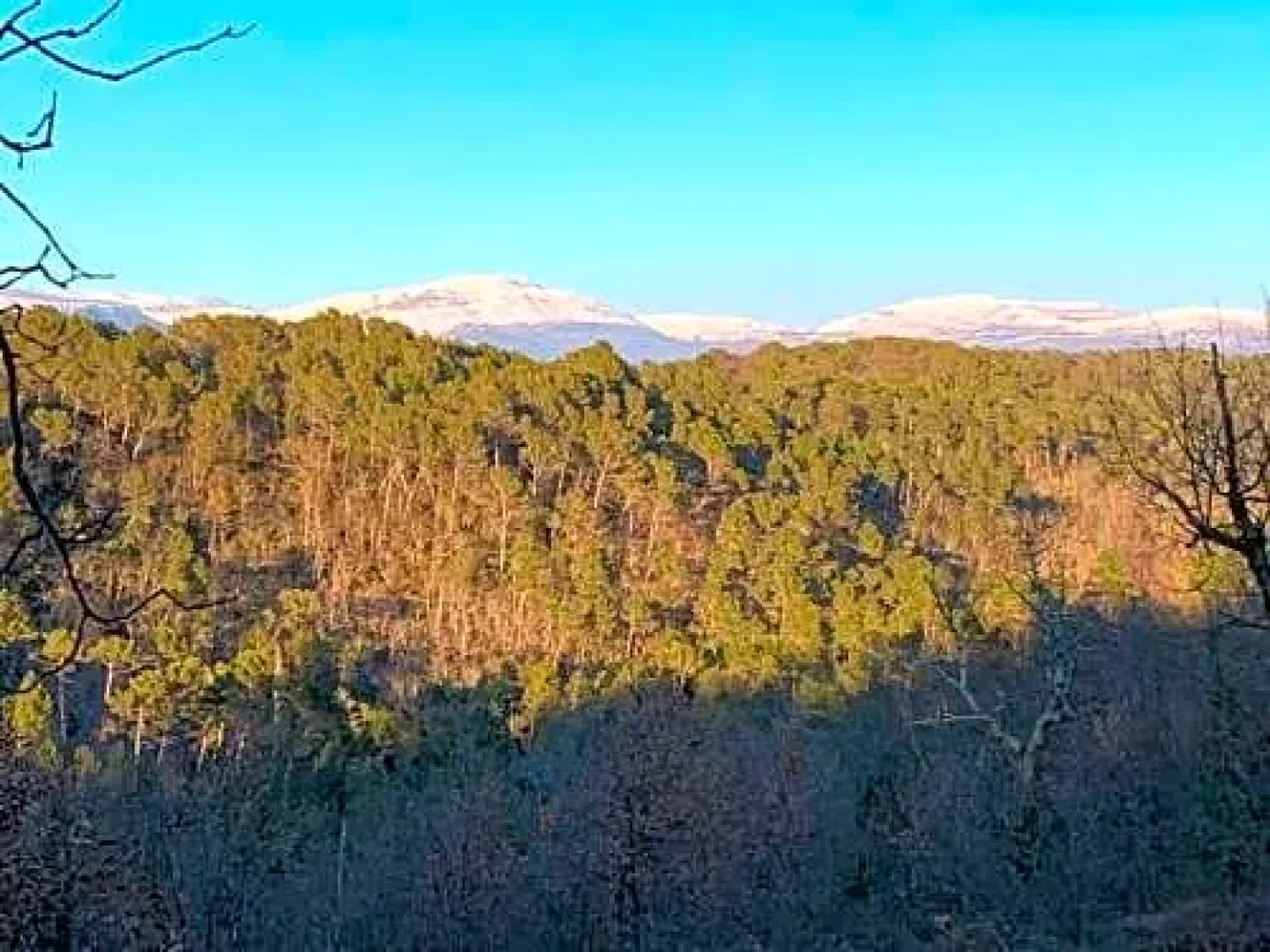 Piedmont en Provence