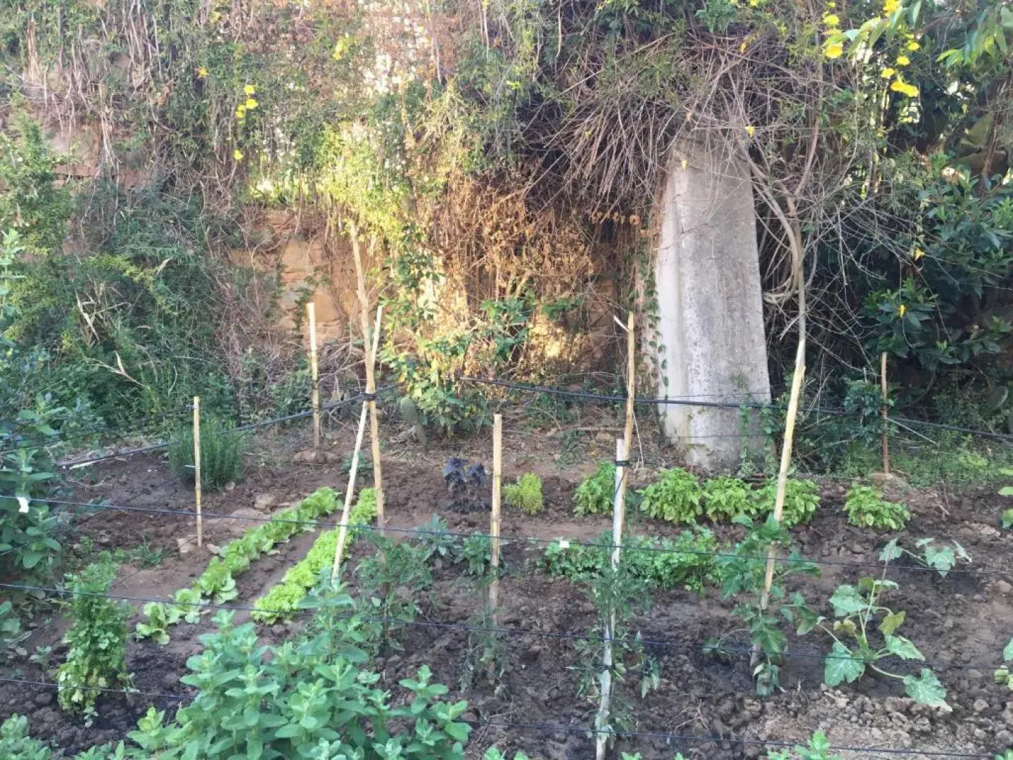 Campastrello Sport Hotel Residence