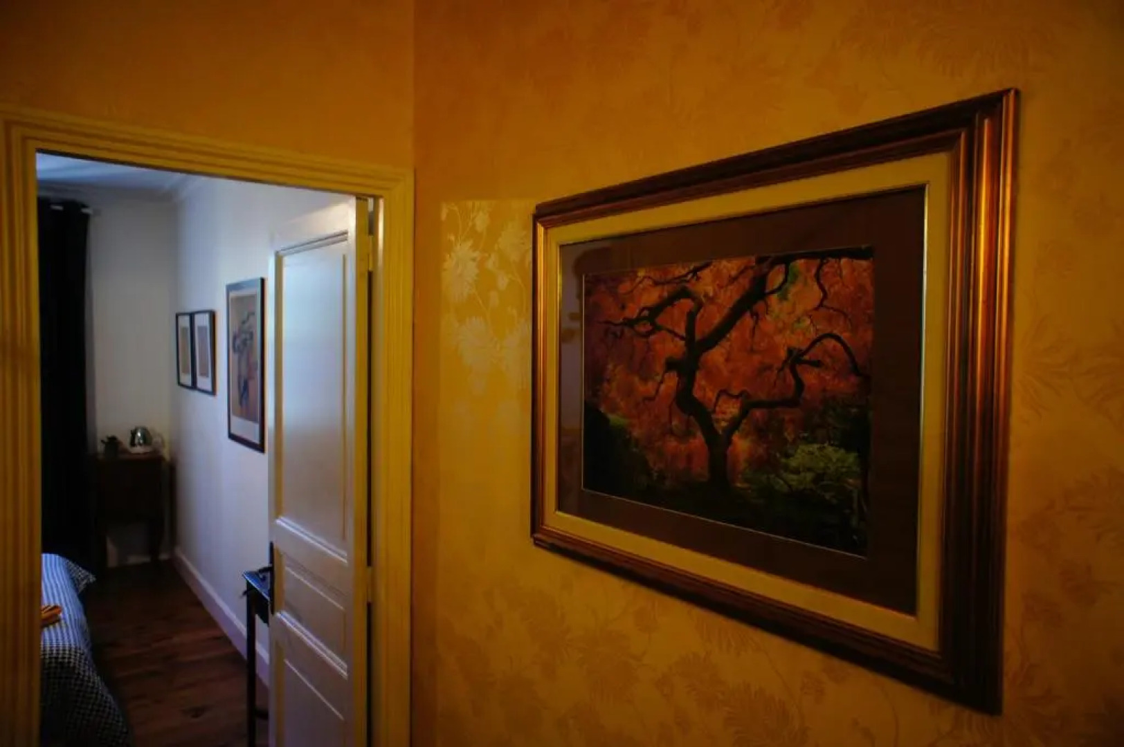 La Maison Verte Albi