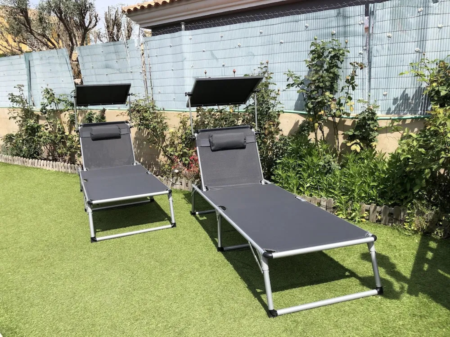 La perla de oasis