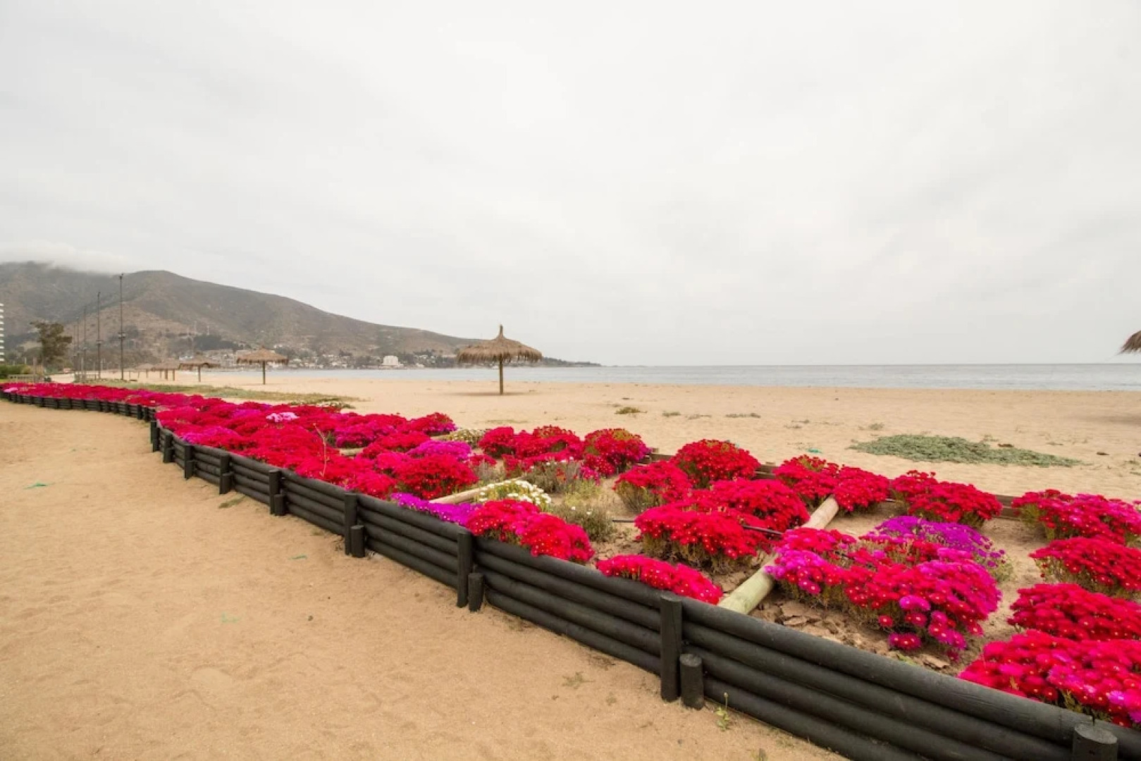 Condominio Papudo Laguna