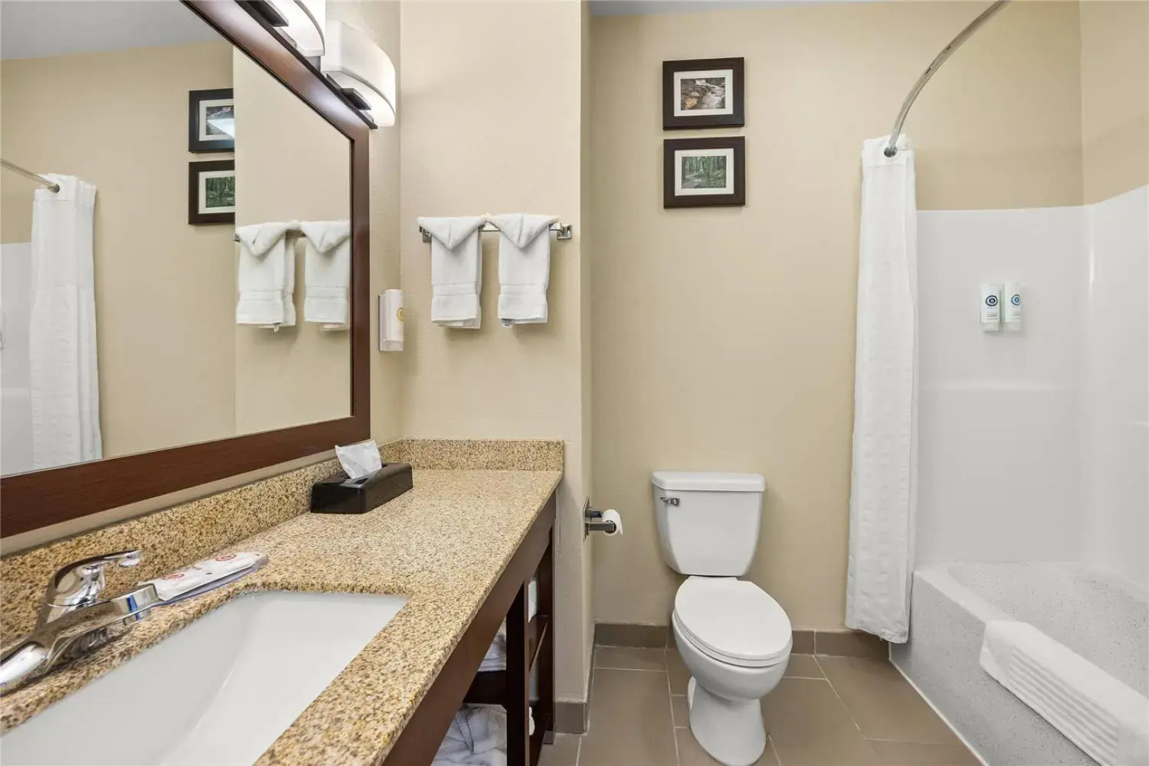 Comfort Inn Willow Springs US 60 and US 63