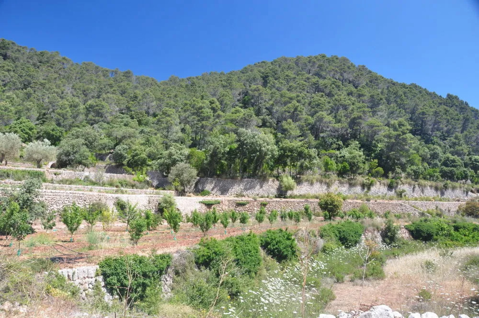 Sa Campaneta Agroturismo