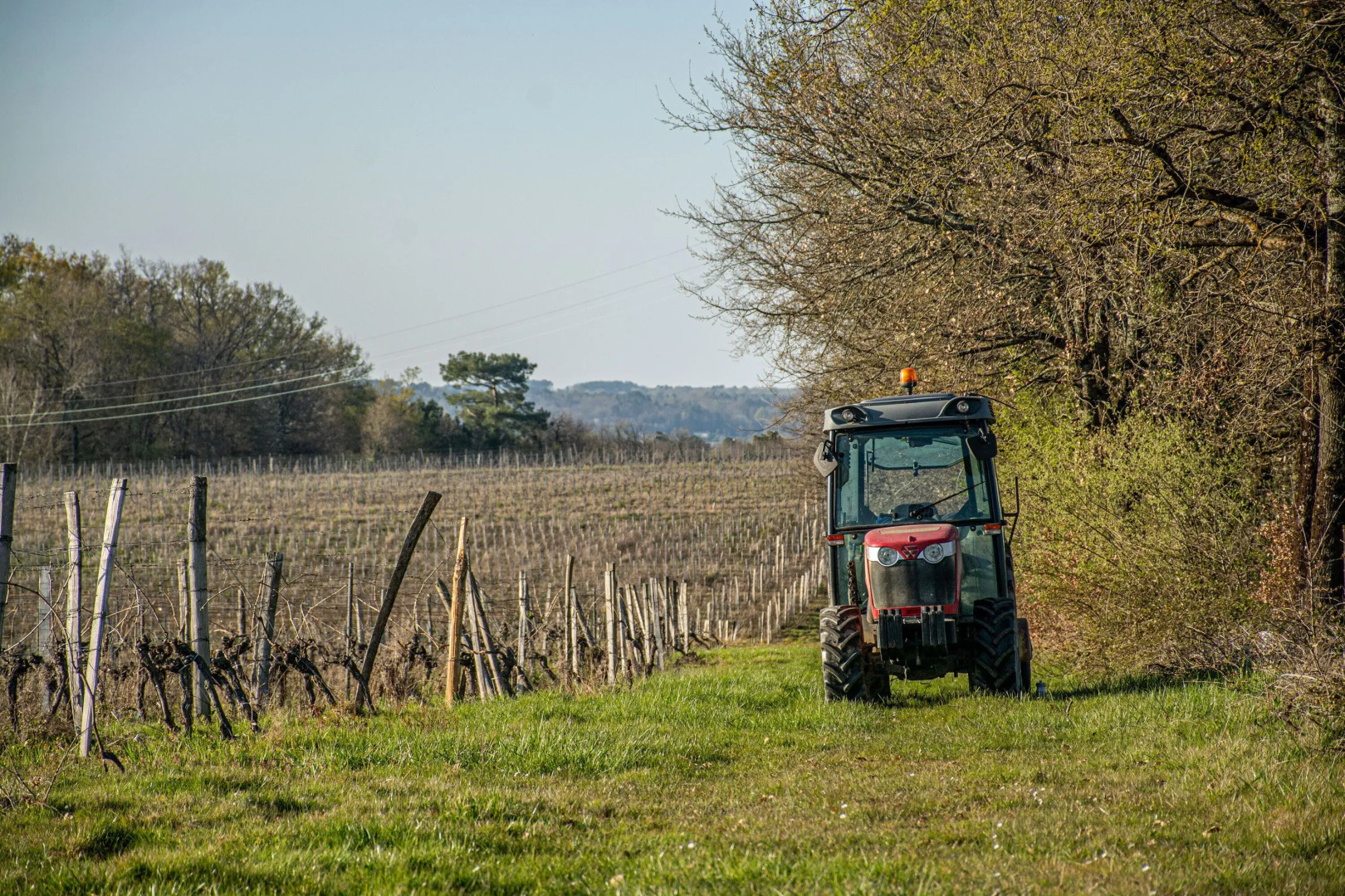 VANDENBELD Wines B&B