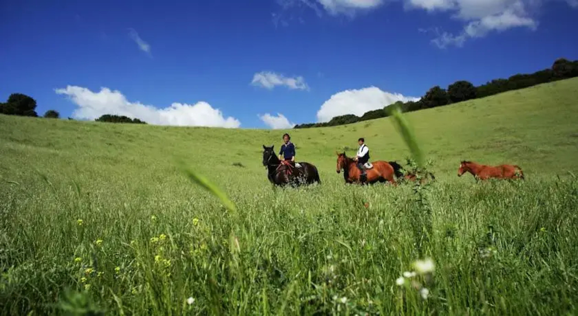 Agriturismo Terra Noas
