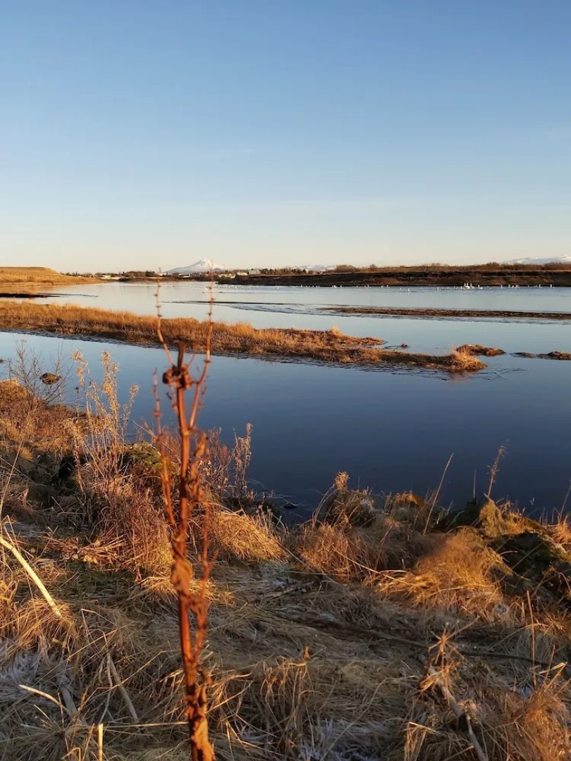 Millhouse River Front