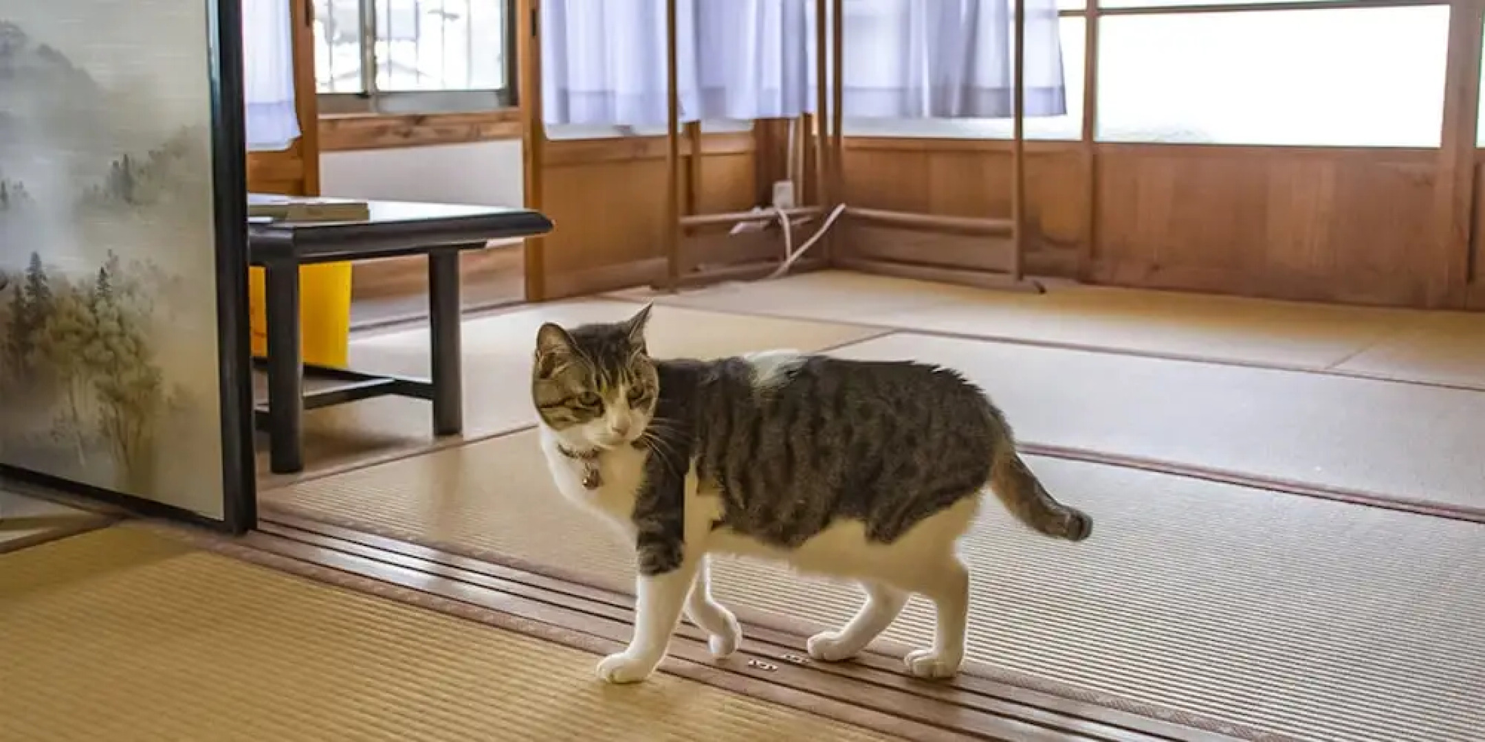 Guest Cafe Kuchikumano