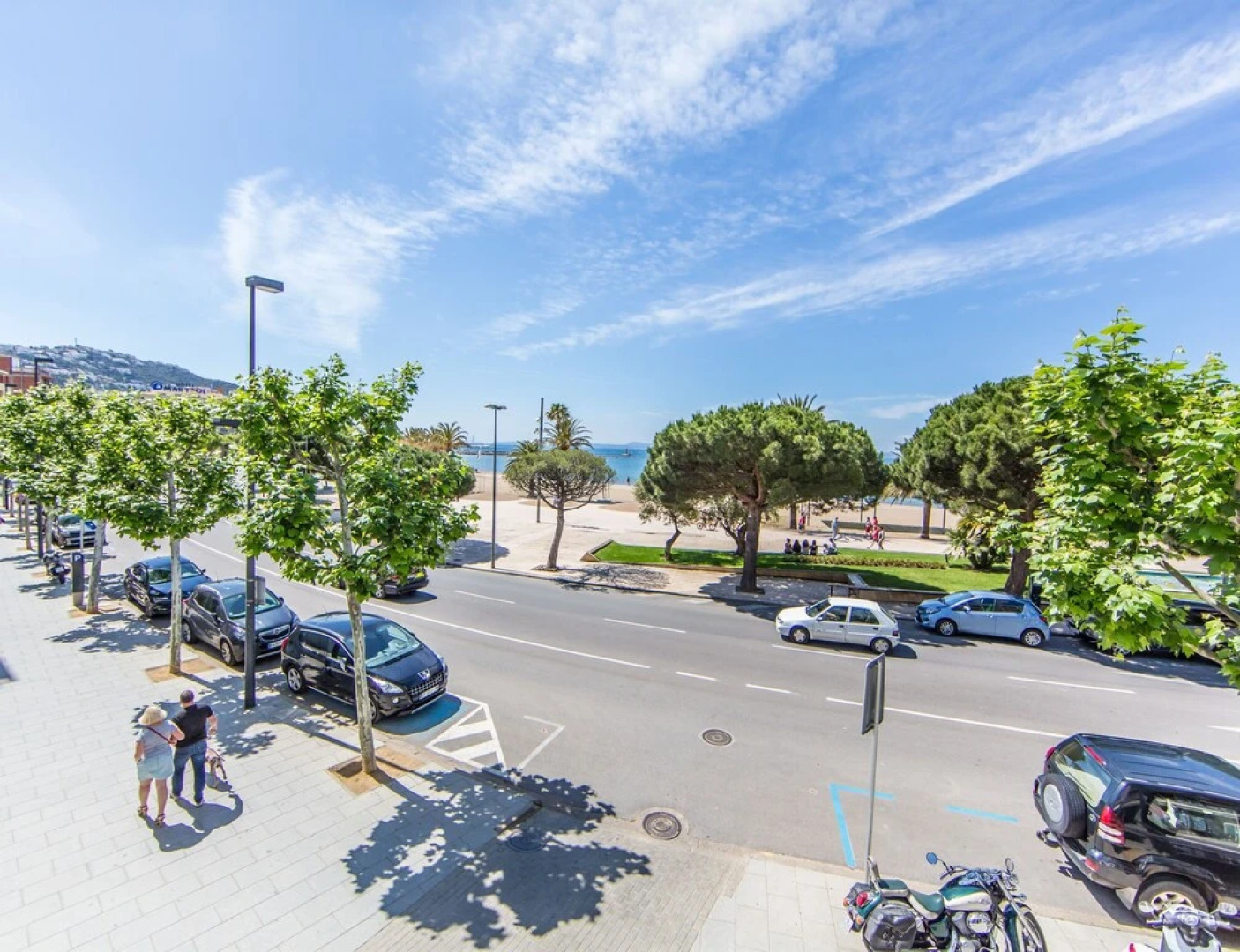 Apartamento Palmeras 1.1