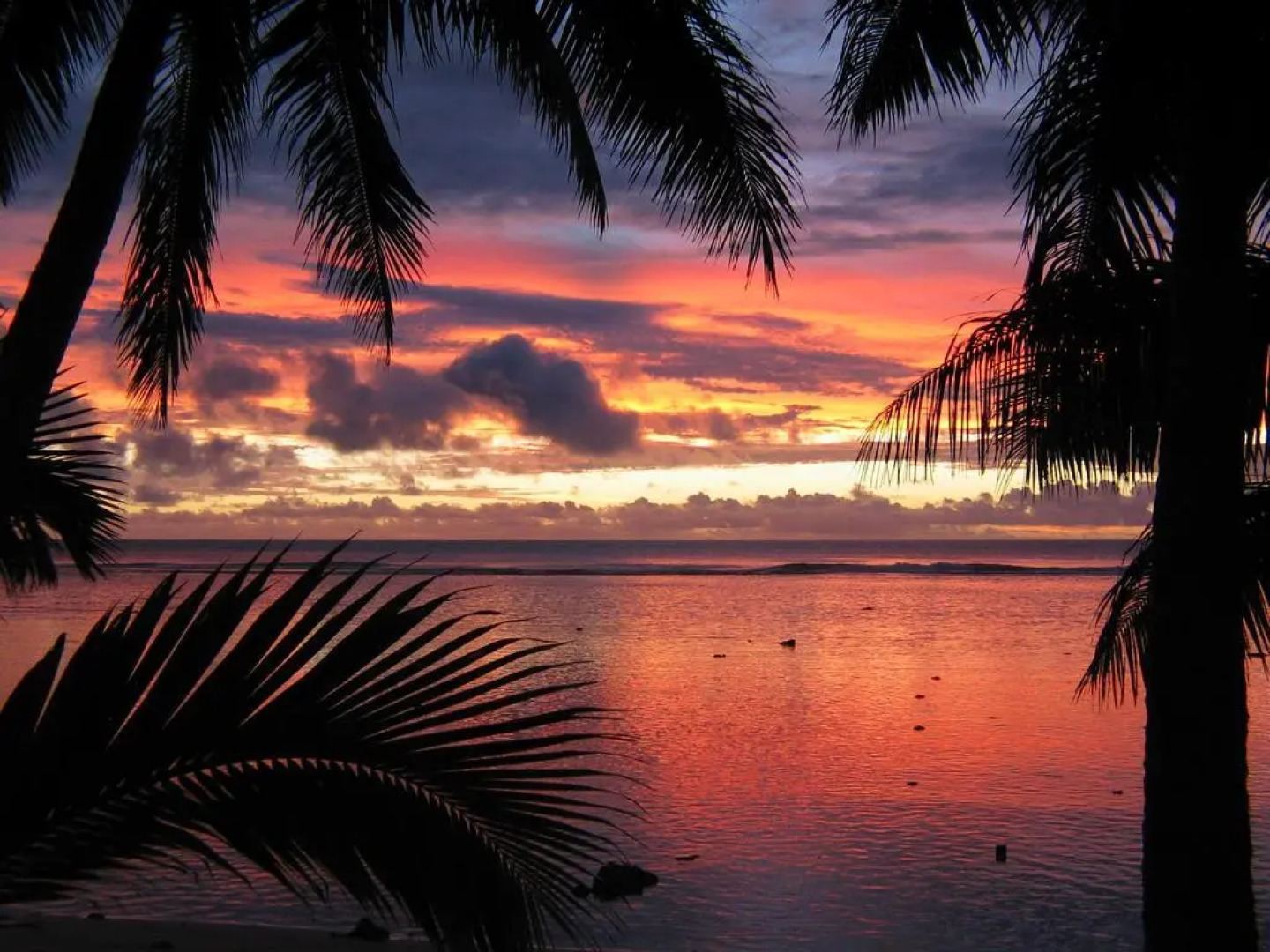 Sunhaven Beach Bungalows