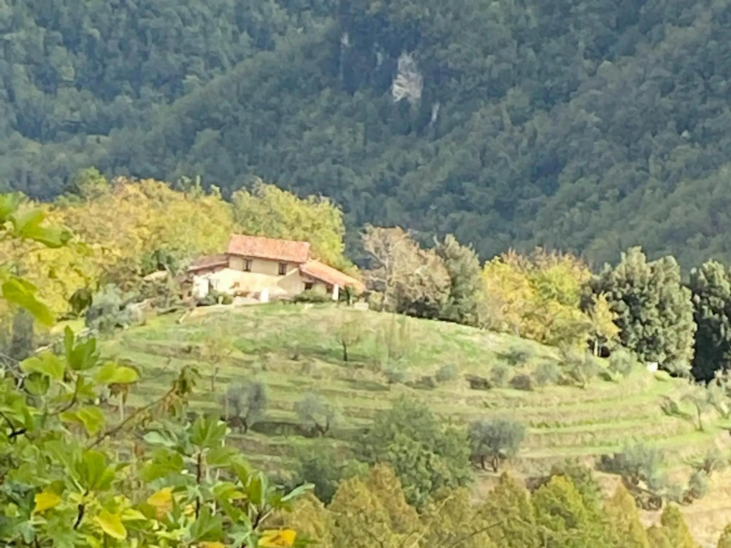 Graceful Cottage in Vergemoli with Private Fenced Garden