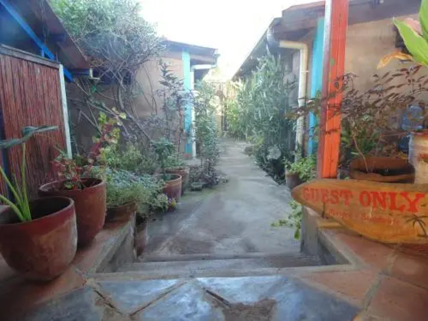 The Lazy Turtle Hotel and Restaurant