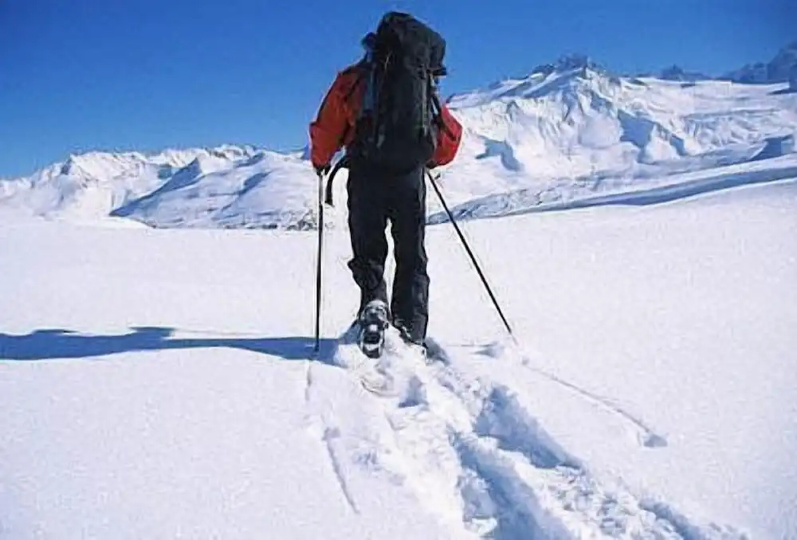 Williston Lake Resort