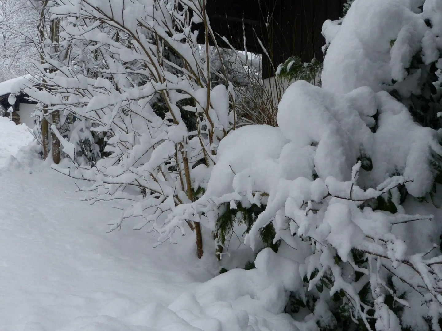 Wohnung in Zenting mit Garten