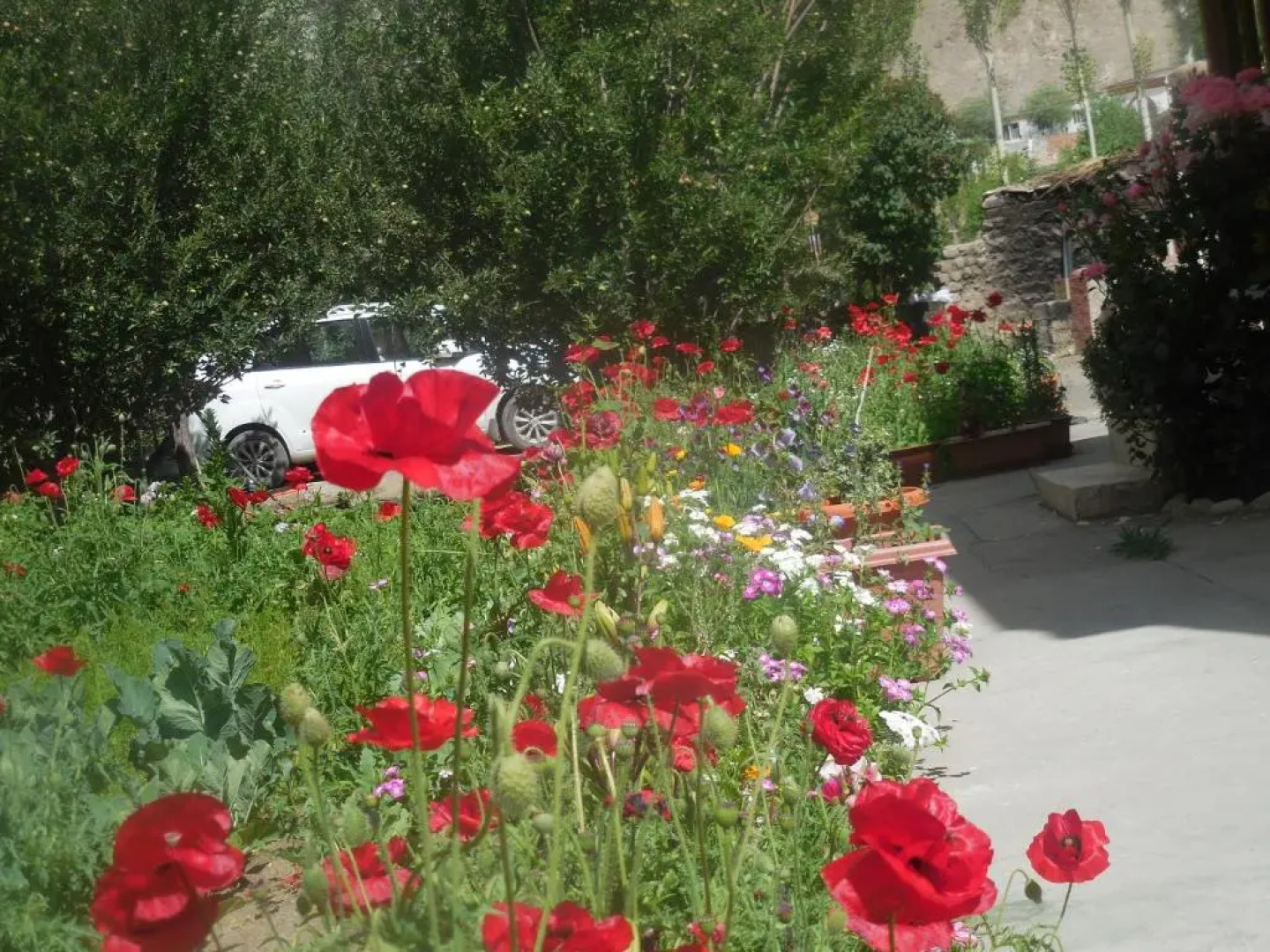 Sangto Green Guest House