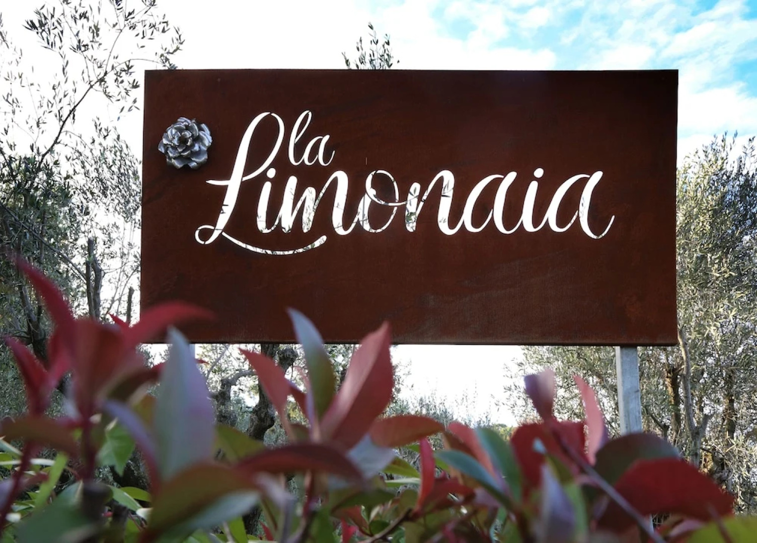 Agriturismo La Limonaia