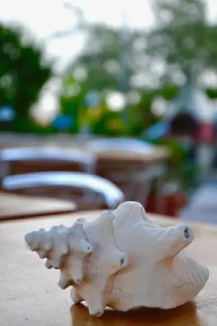 B&B Il Giardino Stellato