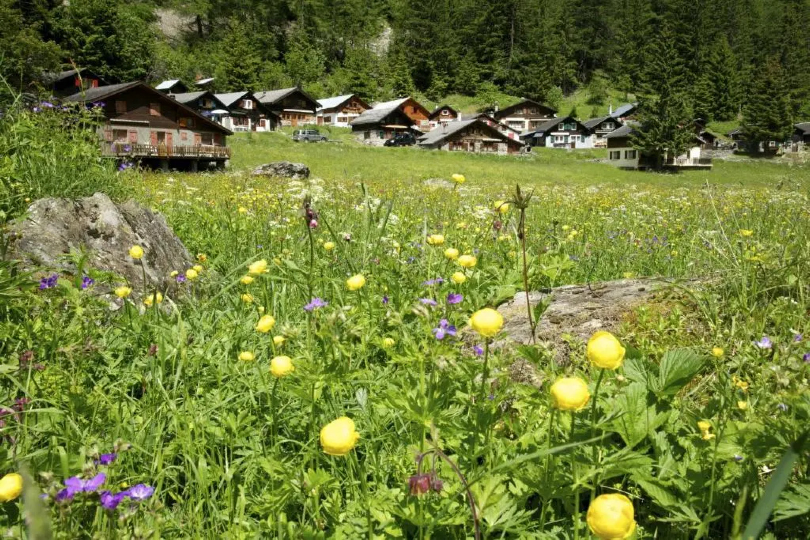 Chalet les Mésanges - Salvan