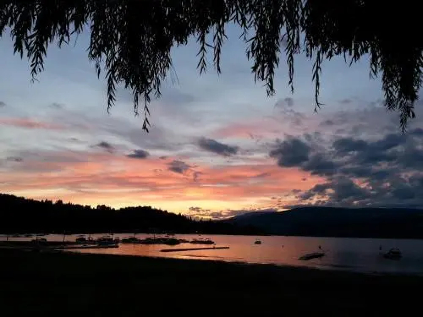 Suite As it Gets Vacation Rental/B&B