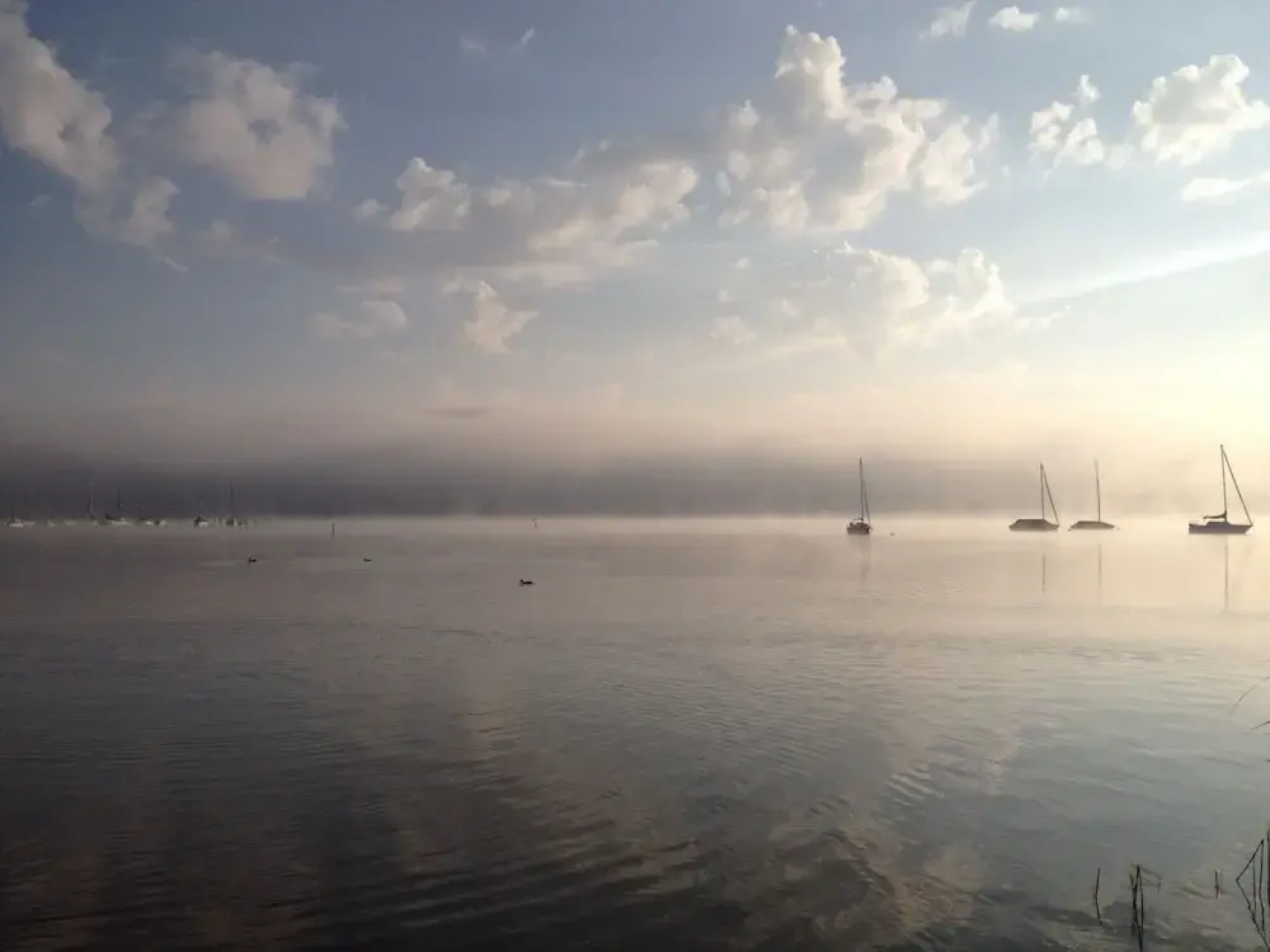 Hotel Gasthof Seefelder Hof